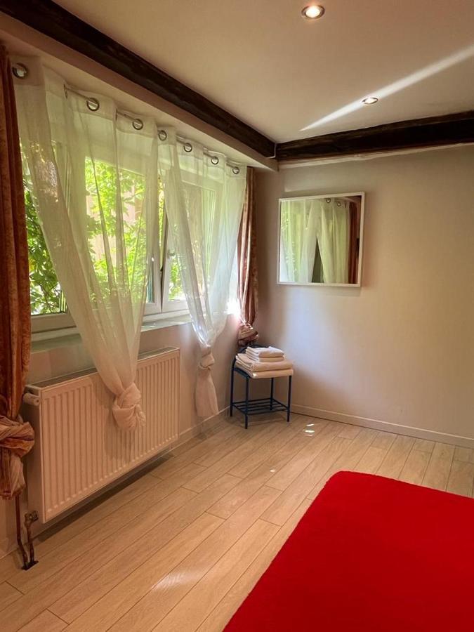 La Mariana - Old Town Cosy Apartments Colmar Kültér fotó